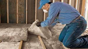 Types of Insulation We Offer in Salamatof, AK